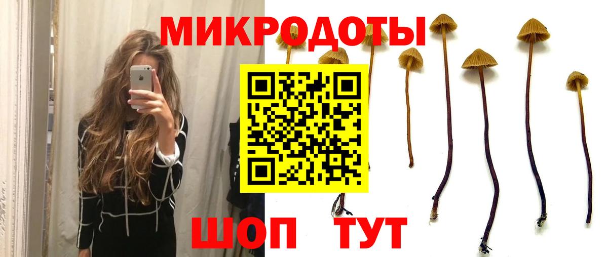 Галлюциногенные грибы мицелий Бор